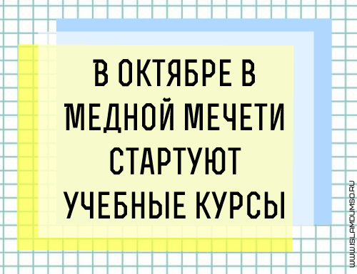 732888246