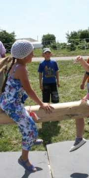 det_sub_2013_14-660-800-600-100