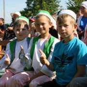 det_sub_2013_25-671-800-600-100
