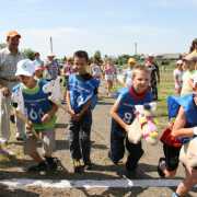 det_sub_2013_6-652-800-600-100