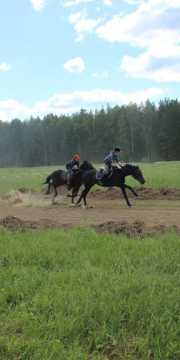 IMG_2494-731