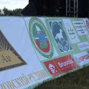 IMG_2381-712