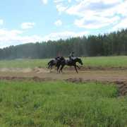 IMG_2494-731