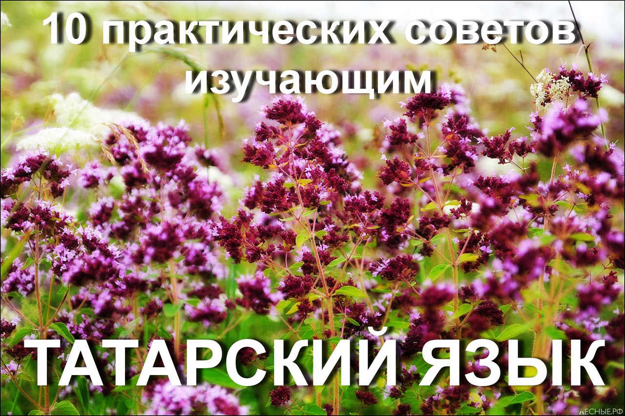 sK03dgM7Vmk