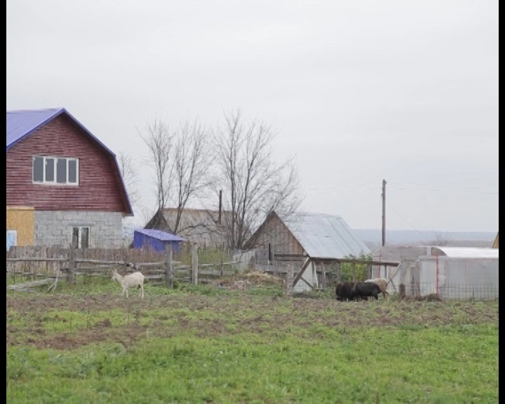 Жизнь татар в деревне Кочкильда Тубян Карши для Татарлар.avi.Still001